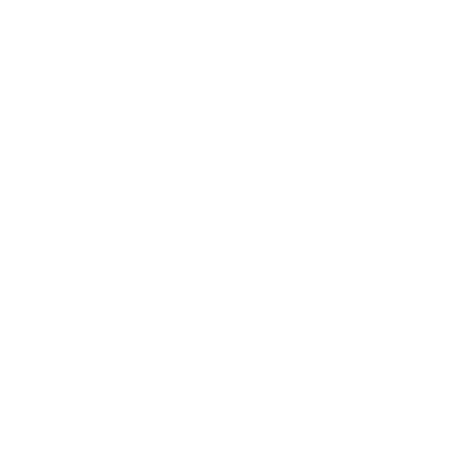 S4 International